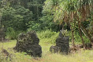 Nānāwale Forest Reserve image