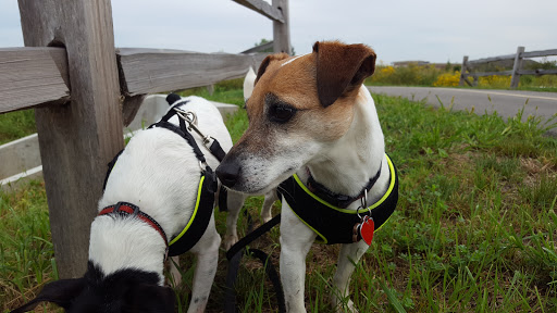 Nature Preserve «Orland Grassland», reviews and photos, 167th Street & S La Grange Road, Tinley Park, IL 60487, USA