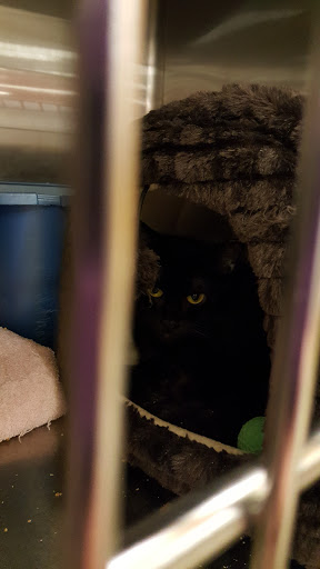 Pet Supply Store «PetSmart», reviews and photos, 45 Park Pl Dr, Covington, LA 70433, USA