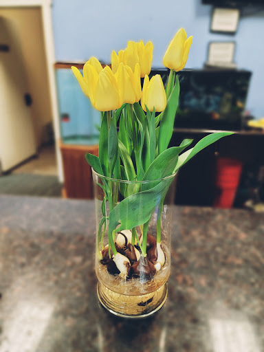 Gold Dealer «Gold and Silver Traders», reviews and photos, 7606 S Tacoma Way, Tacoma, WA 98409, USA