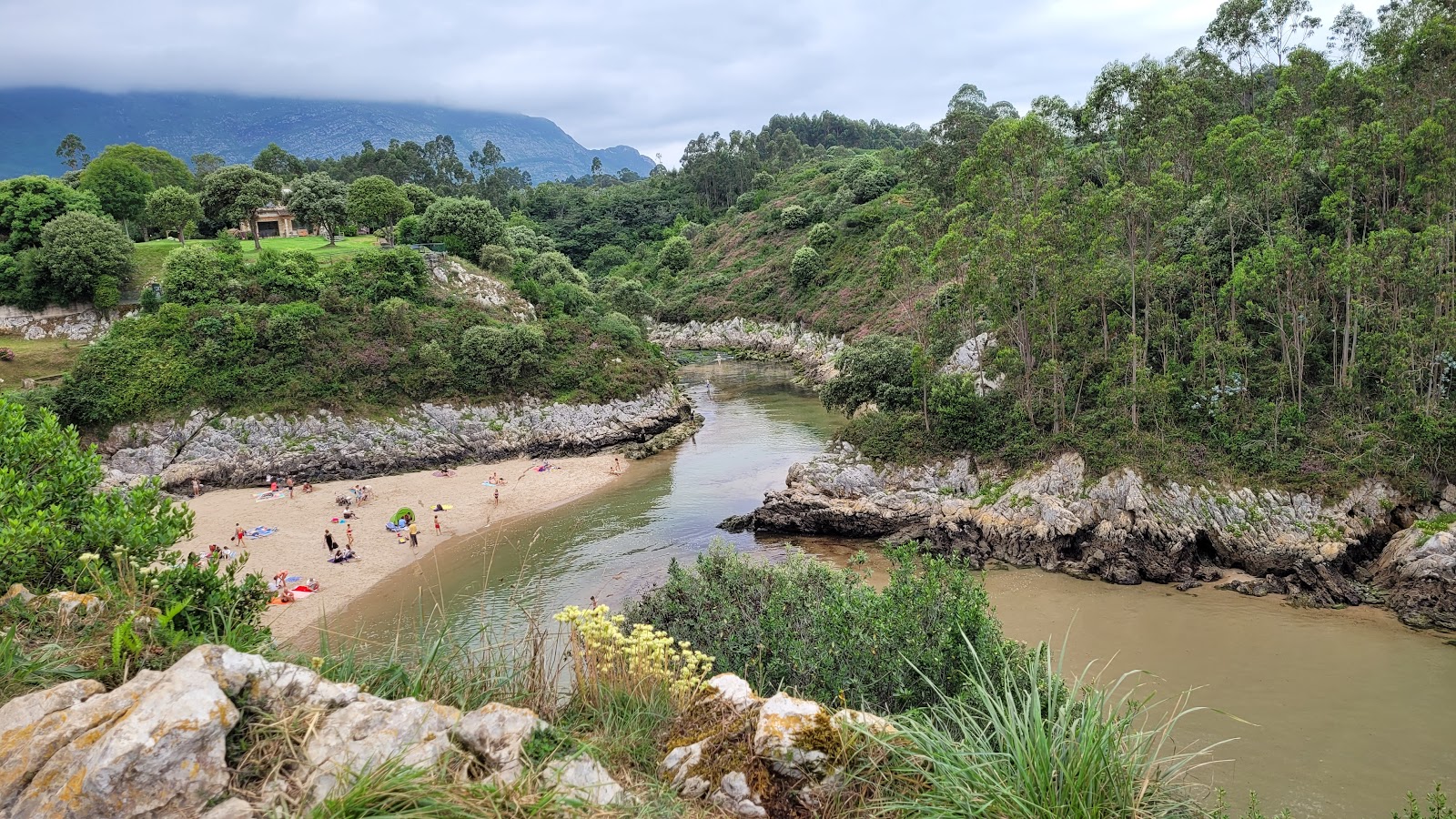Foto di Playa de Guadamia con baia spaziosa