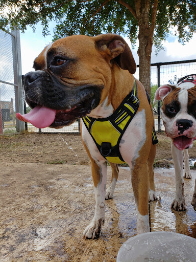 Park «Nani Falcone Community Park», reviews and photos, 7625 Mystic Park, San Antonio, TX 78254, USA