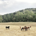 Photo n°9 de l'avis de Erika.o fait le 10/02/2018 à 10:57 sur le  Tenuta Savoca à Piazza Armerina
