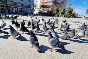 Parcul Orășenesc image