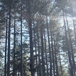 Photo n°9 de l'avis de Francesco.n fait le 18/01/2024 à 11:14 sur le  Silavventura Parco Avventura à Lorica