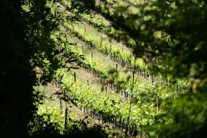 Château le Raz image