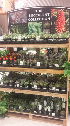 Grocery Store «Albertsons», reviews and photos, 215 N Carrier Pkwy, Grand Prairie, TX 75050, USA