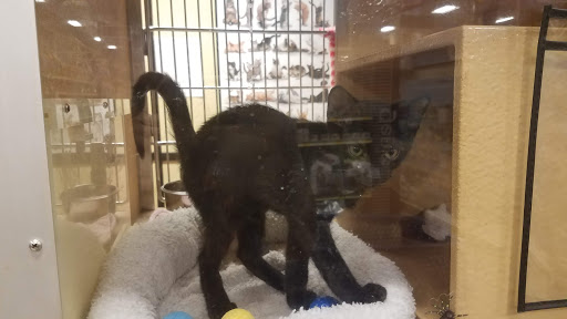 Pet Supply Store «PetSmart», reviews and photos, 4151 Turtle Creek Dr, Coral Springs, FL 33067, USA
