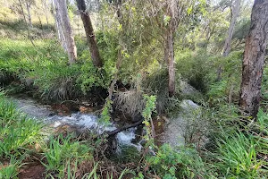 Whistlepipe Gully Trailhead - Forrestfield image