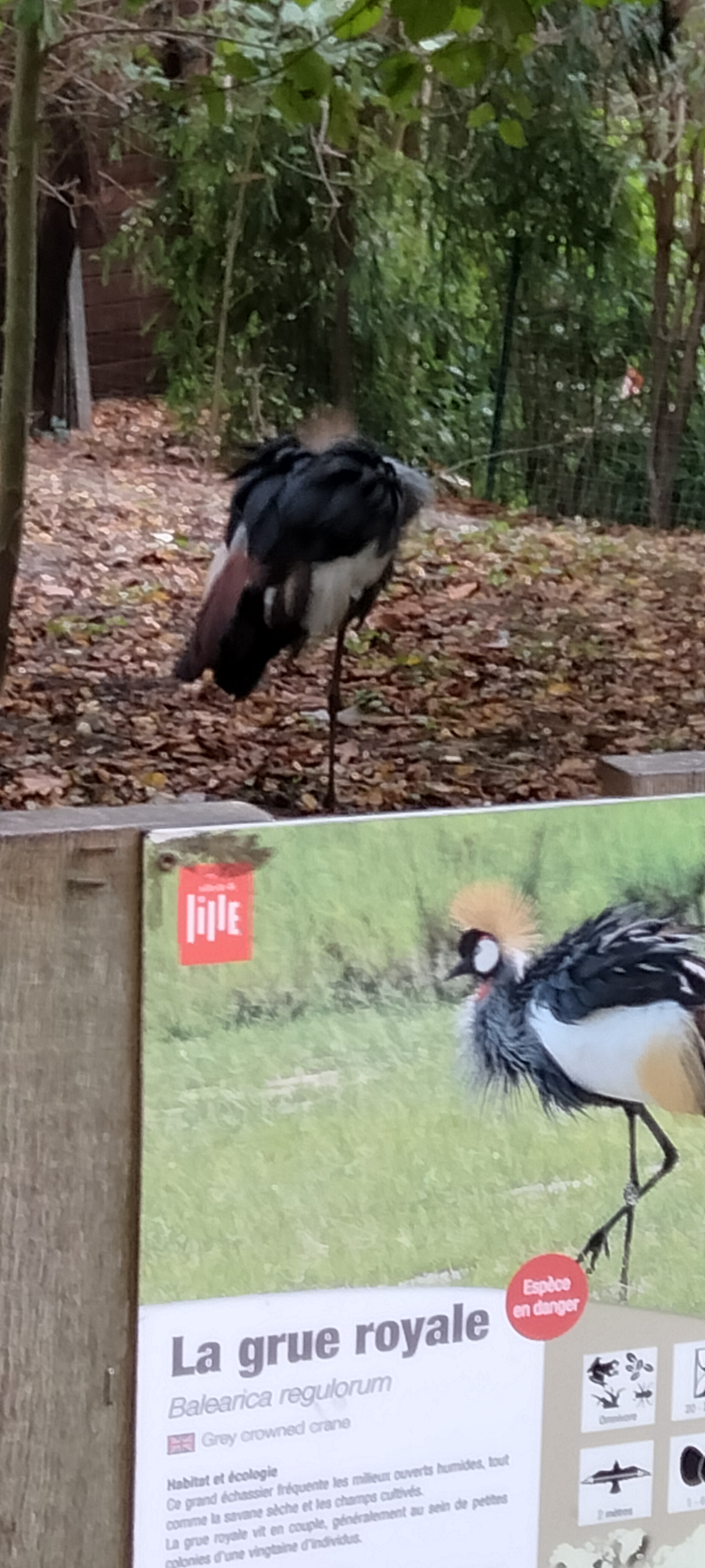 Photo n° 13 de l'avis de Sylvie.U fait le 07/11/2022 à 08:33