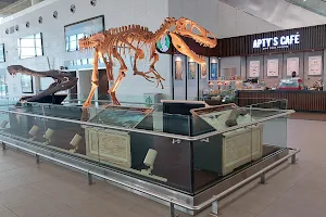 Diori Hamani International Airport image