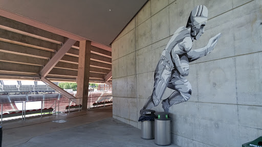 American Football Field «Nippert Stadium», reviews and photos, 2700 Bearcat Way, Cincinnati, OH 45221, USA