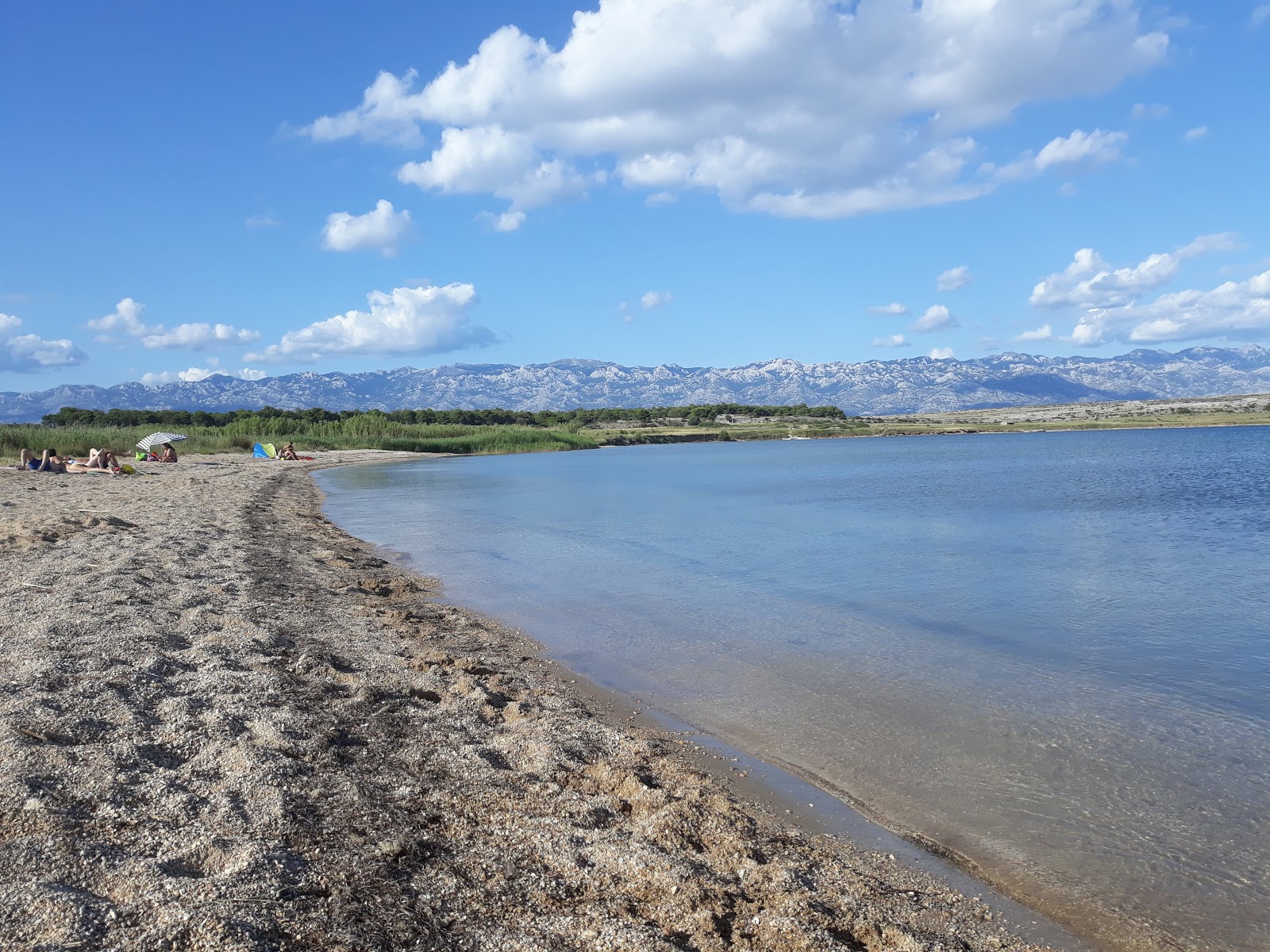 Old Povljana beach'in fotoğrafı geniş ile birlikte