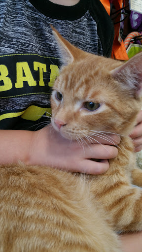 Pet Store «Pet Valu», reviews and photos, 70 Buckwalter Rd, Royersford, PA 19468, USA