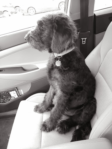 Variety Store «Five Below», reviews and photos, 846 Pelham Pkwy, Pelham, NY 10803, USA