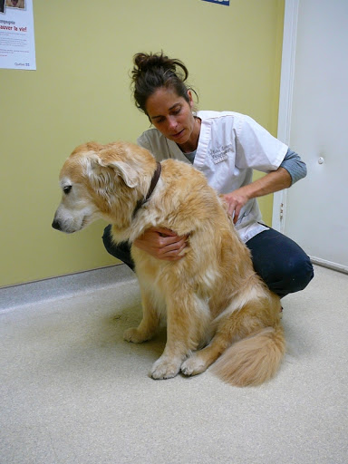Deborah Nash Veterinary Clinic image