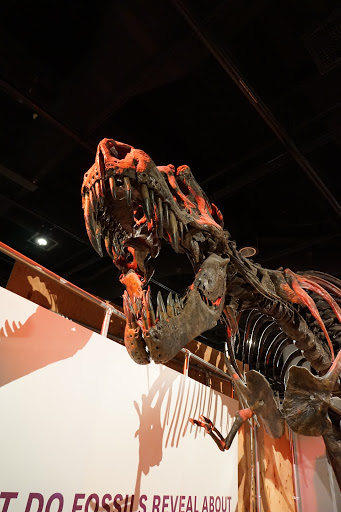 Movie Theater «Samuel C. Johnson IMAX Theater», reviews and photos, 10th Street & Constitution Avenue Northwest, Washington, DC 20002, USA