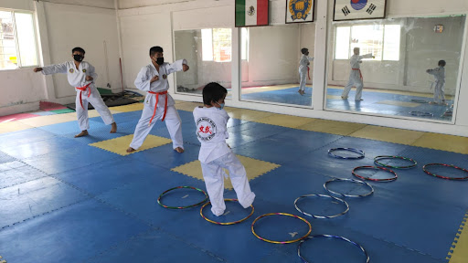 Taekwondo Moo Duk Kwan Lobos Elite