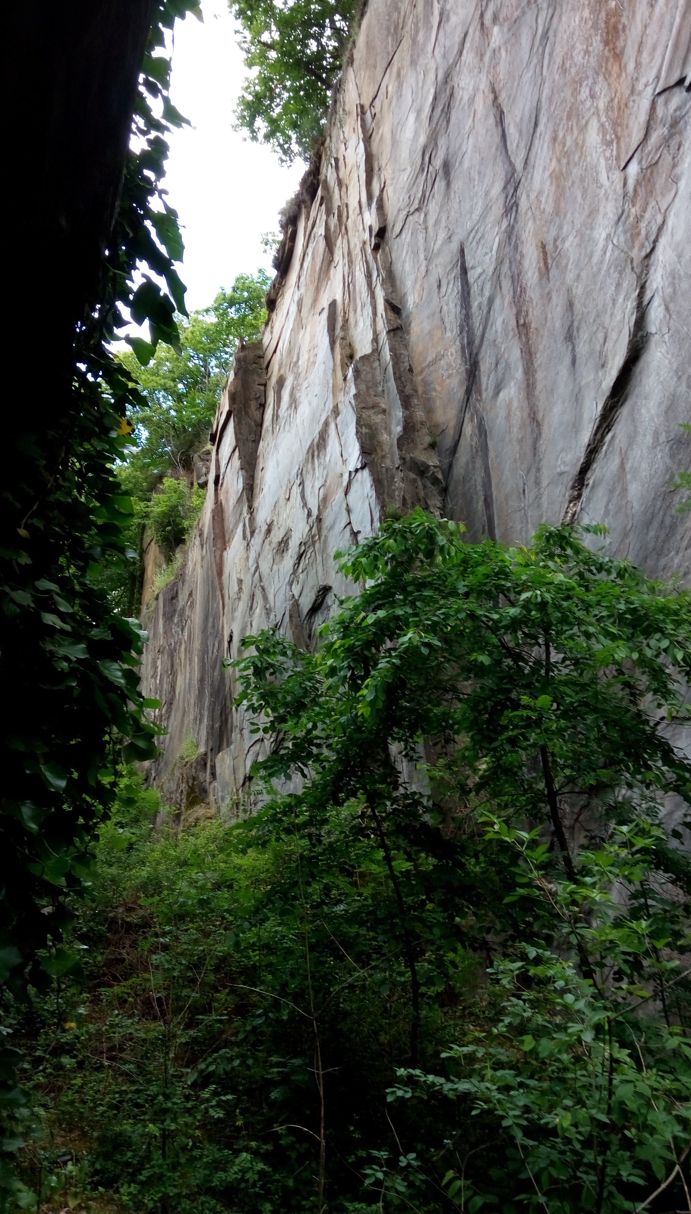 Photo n° 4 de l'avis de véronique.u fait le 13/06/2019 à 11:34