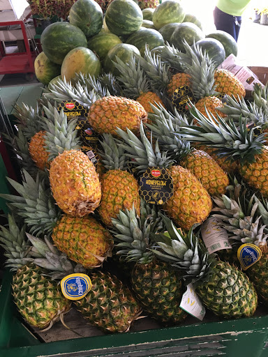 Produce Market «Nelson Family Farms», reviews and photos, 875 W Midway Rd, Fort Pierce, FL 34982, USA