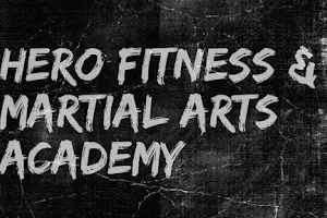 Hero MMA Academy image