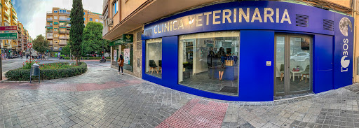 Clinicas veterinarias en Granada