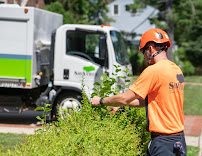 SavATree - Tree Service & Lawn Care - Photo 4 - Car repair in Hamilton Township, NJ, Trenton