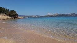 Corbezzoli Beach'in fotoğrafı çok temiz temizlik seviyesi ile