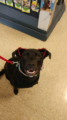 Pet Supply Store «PetSmart», reviews and photos, 1020 Veterans Pkwy #900, Clarksville, IN 47129, USA