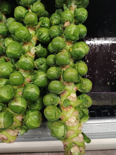 Grocery Store «Safeway», reviews and photos, 200 S 3rd St, Renton, WA 98057, USA