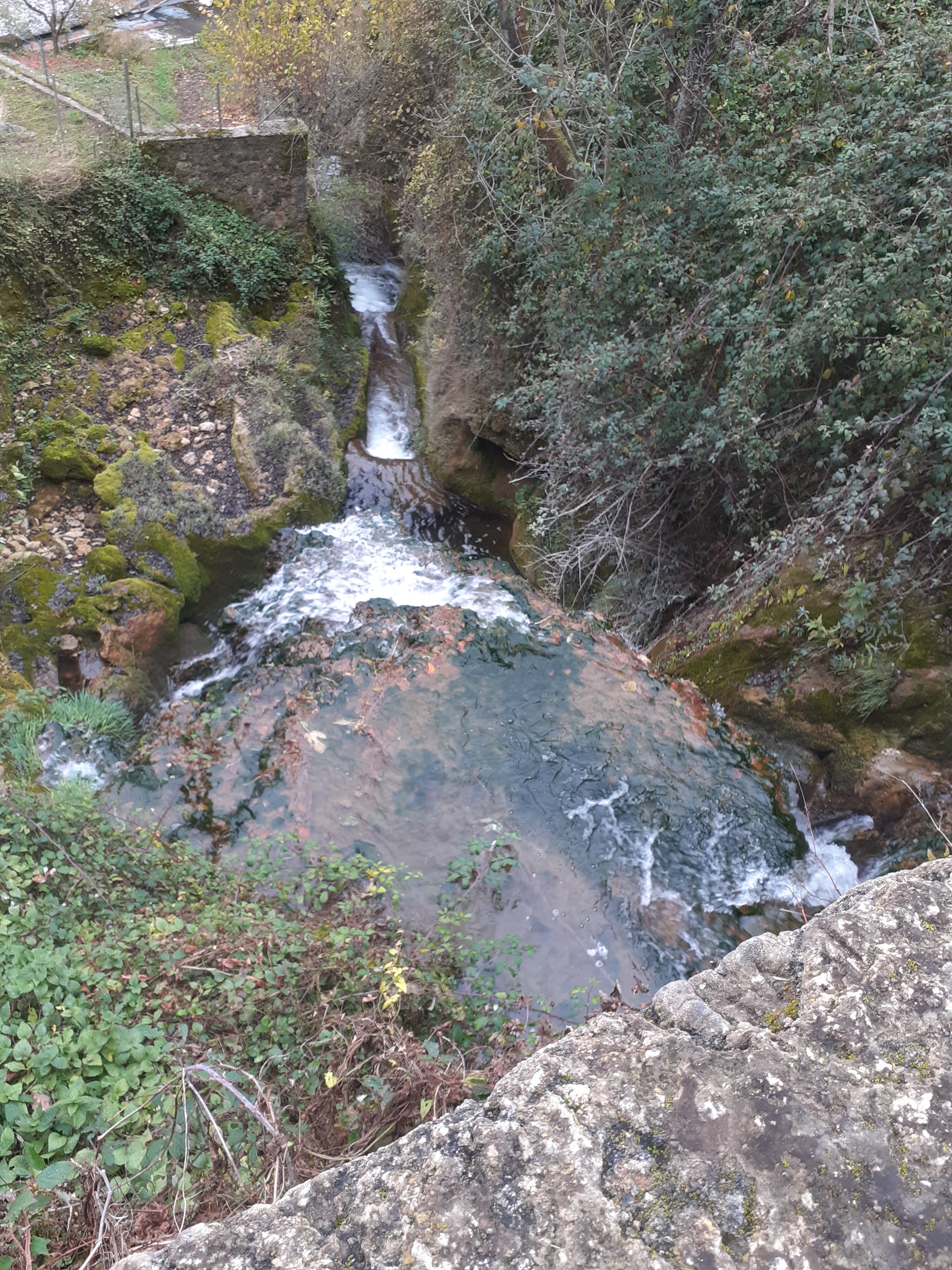 Photo n° 5 de l'avis de Nicole.e fait le 20/11/2021 à 17:56