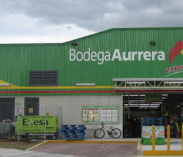 Bodega Aurrera Express, Parques del Sur photo