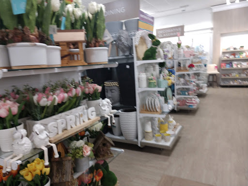 Department Store «HomeGoods», reviews and photos, 1501 Sentinel Dr #300a, Chesapeake, VA 23320, USA