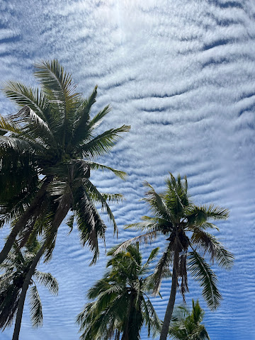 Denarau Golf & Racquet Club by null