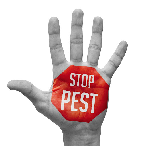 Pest Control Service «Universal Pest & Termite», reviews and photos
