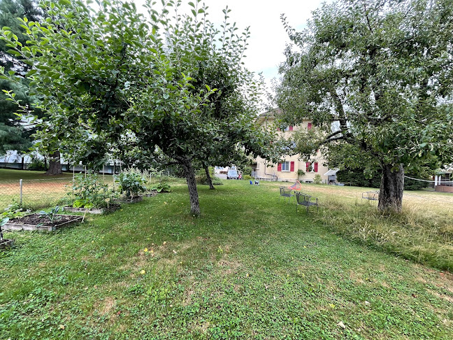 Opinii despre Foyer des Lys în Lausanne - Verband