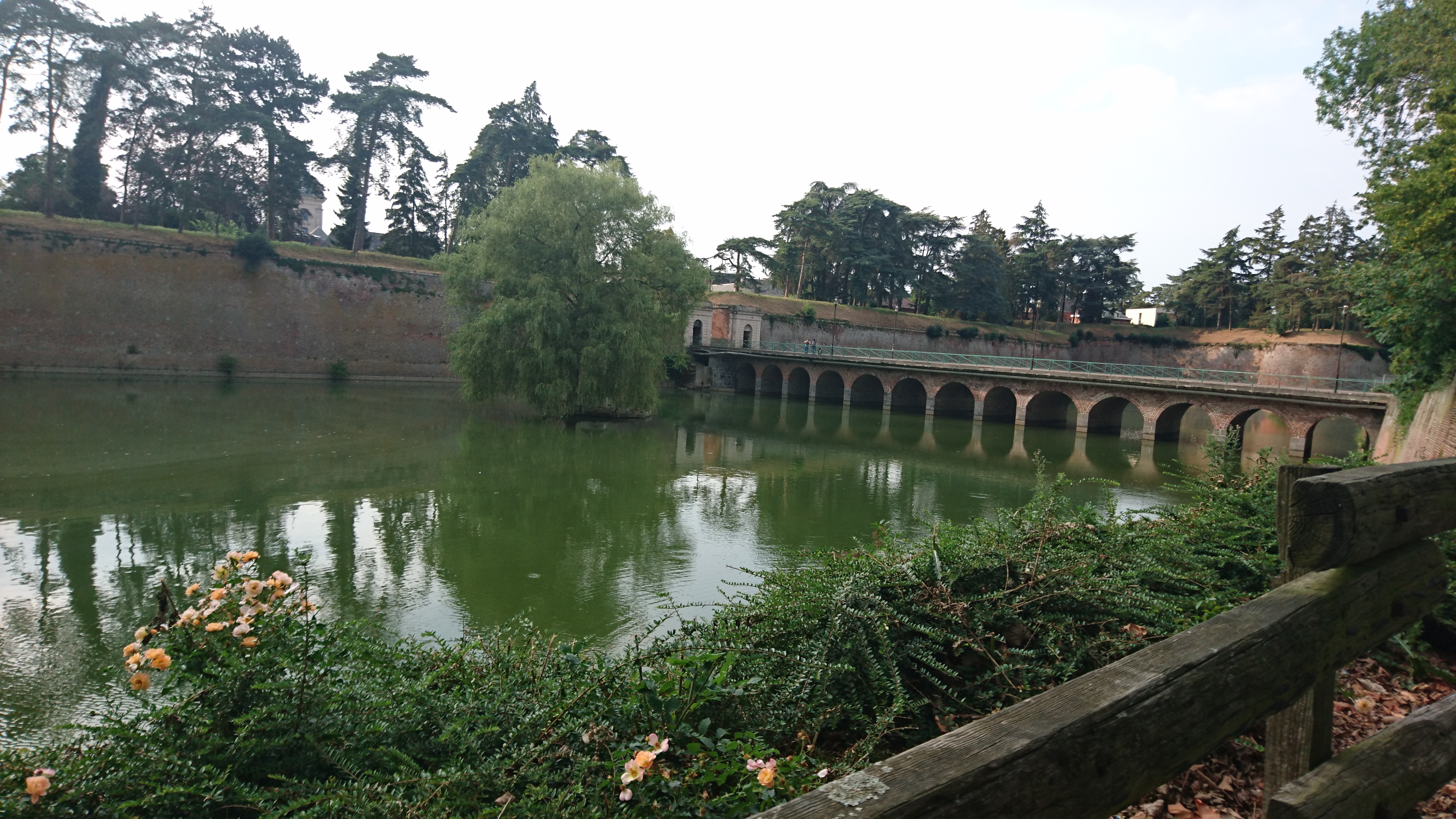 Photo n° 1 de l'avis de Anne.R fait le 24/07/2018 à 20:37