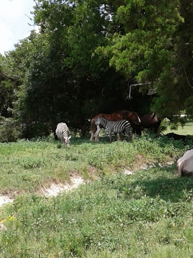 Zoo «Tupelo Buffalo Park & Zoo», reviews and photos, 2272 Coley Rd, Tupelo, MS 38801, USA