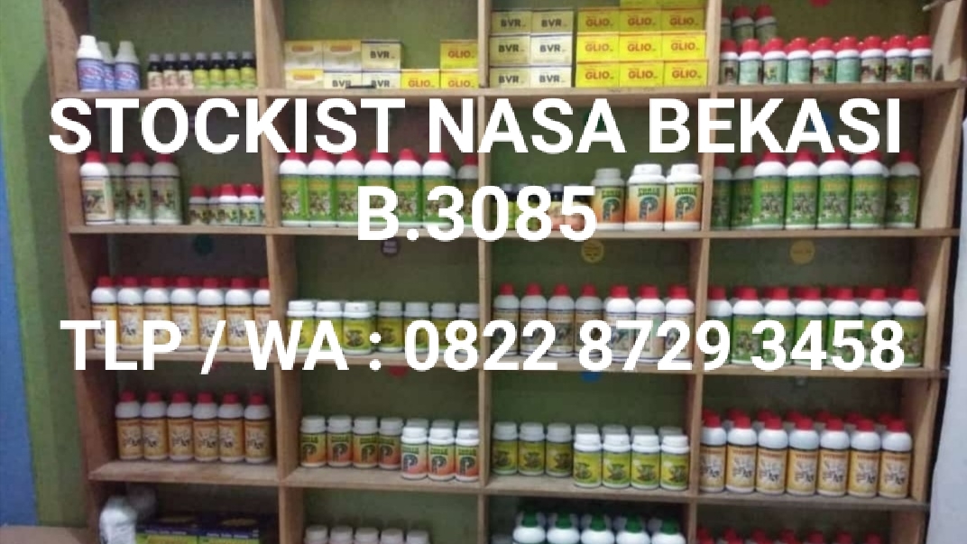 Stockist Nasa Bekasi B.3085 082287293458 (Bunda Ekka)