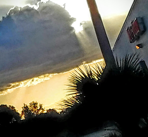 Grocery Store «Winn-Dixie», reviews and photos, 1122 N Main St, Bushnell, FL 33513, USA