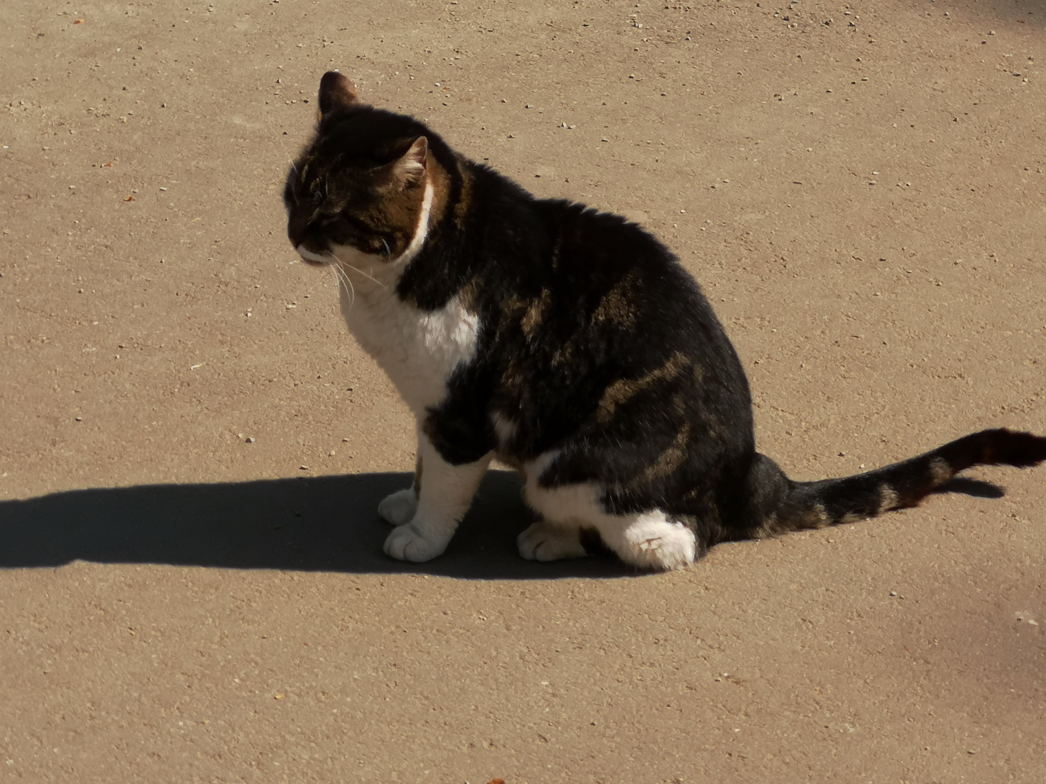 Photo n° 44 de l'avis de Bryan.r fait le 24/04/2018 à 19:19