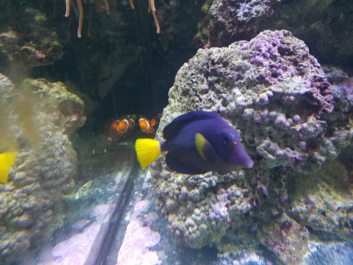 Pet Supply Store «Paws & Claws & Co», reviews and photos, 1801 E Market St, Warsaw, IN 46580, USA