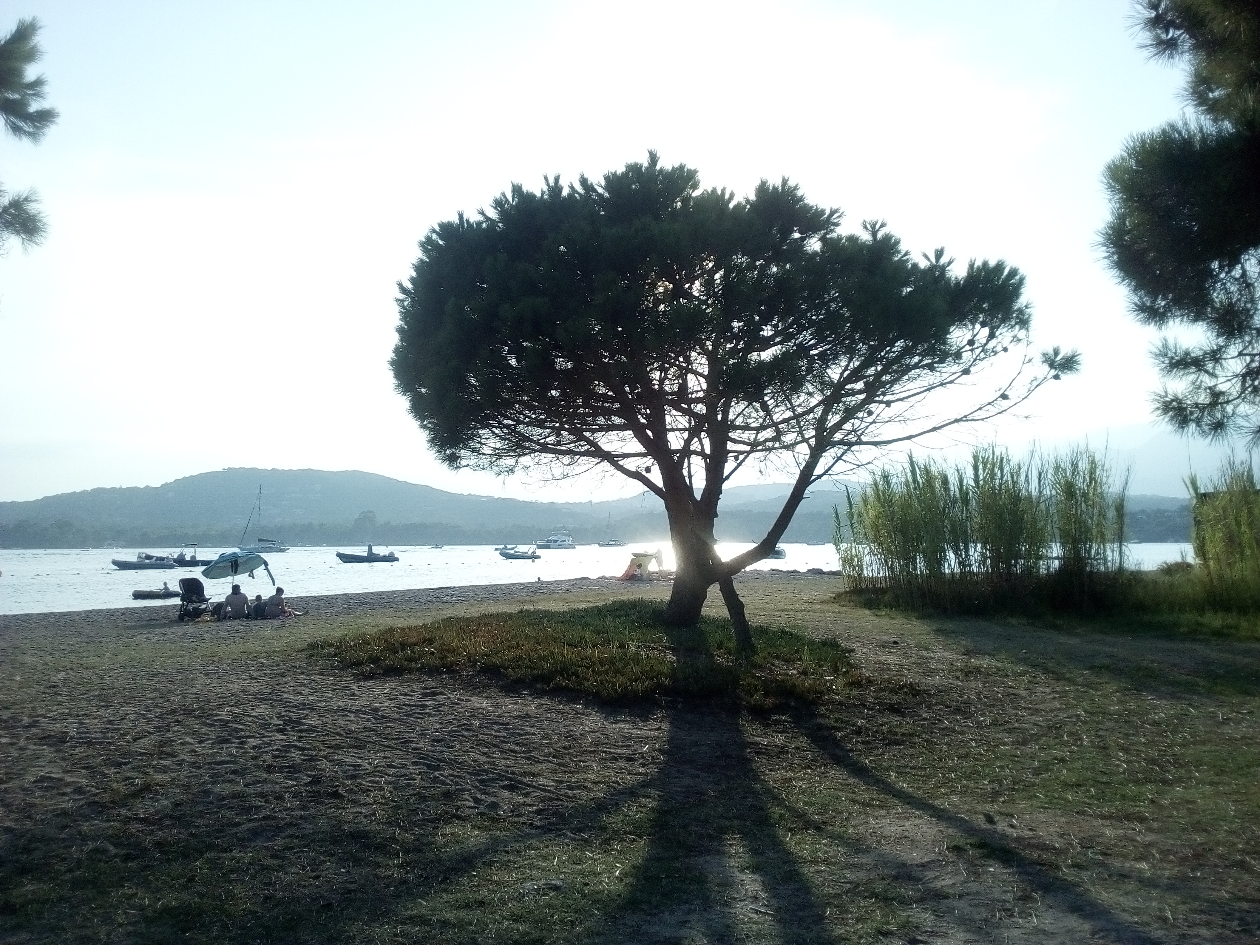Photo n° 1 de l'avis de Sebastien.� fait le 21/08/2018 à 20:23