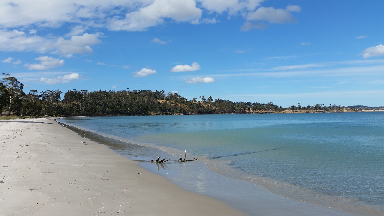 Fotografija Raspins Beach z svetel pesek površino