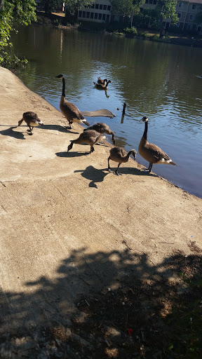 Golf Course «Northwood Country Club», reviews and photos, 3157 Club Dr, Lawrenceville, GA 30044, USA