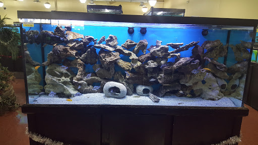 Pet Supply Store «Monster Pets», reviews and photos, 130 Black Horse Pike # 502, Audubon, NJ 08106, USA