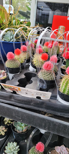 Home Improvement Store «The Home Depot», reviews and photos, 10151 Bloomingdale Ave, Riverview, FL 33569, USA