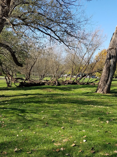 Performing Arts Theater «Prairie Center For the Arts», reviews and photos, 201 Schaumburg Ct, Schaumburg, IL 60193, USA