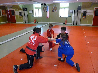 Family Dragon Martial Arts and Fitness Academy