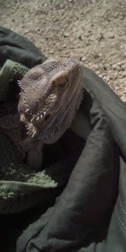 Pet Supply Store «The Animal Connection», reviews and photos, 2550 2550 Judah St & 31st Ave, San Francisco, CA 94122, USA